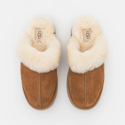 Classic Disquette Slipper | Chestnut