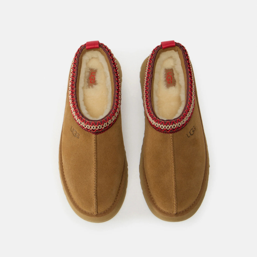 Classic Tazz II | Chestnut