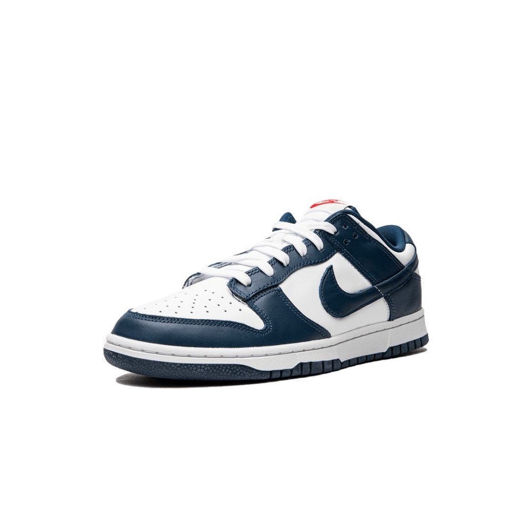 Dunk Low Valerian Blue